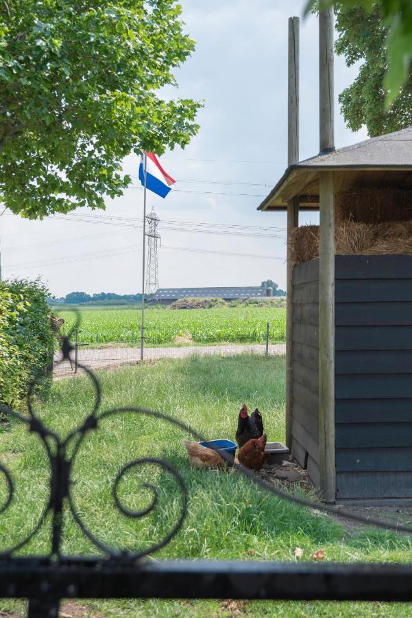 Apartament De Dorsvloer Drimmelen Zewnętrze zdjęcie